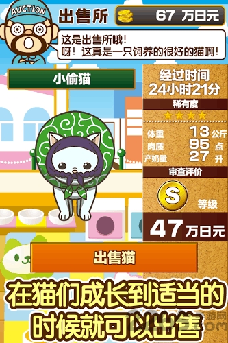 猫咪咖啡店官方版 猫咪咖啡店游戏下载