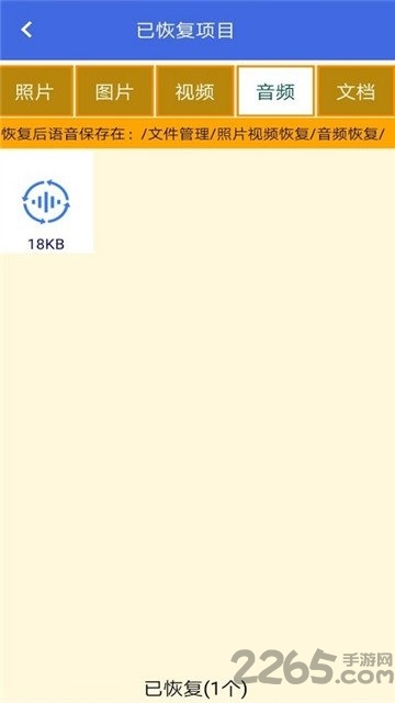 照片视频恢复精灵手机版