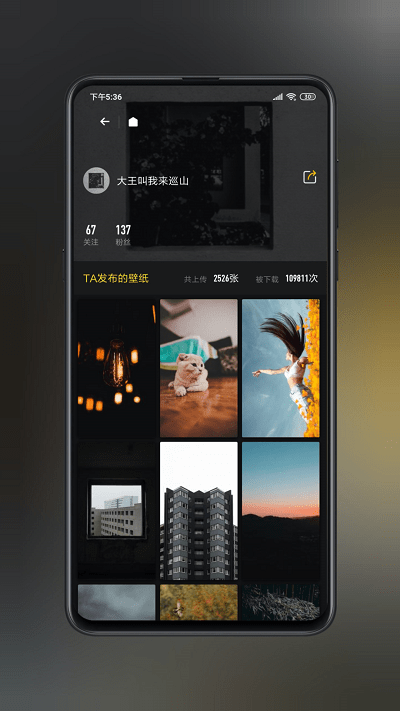 纸塘壁纸官方版