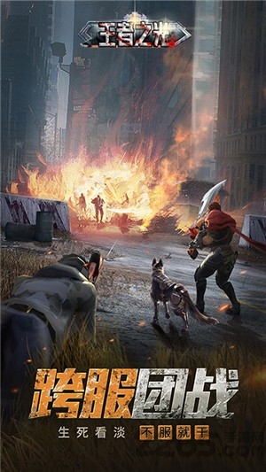 王者之光折扣版