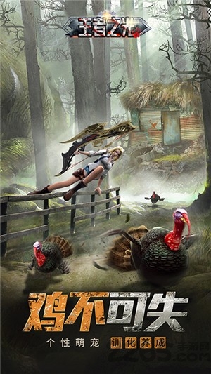 王者之光折扣版