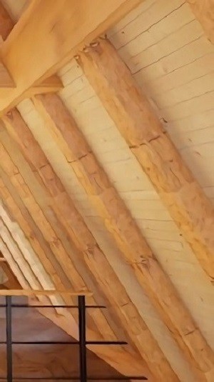 逃离木屋旅馆官方版