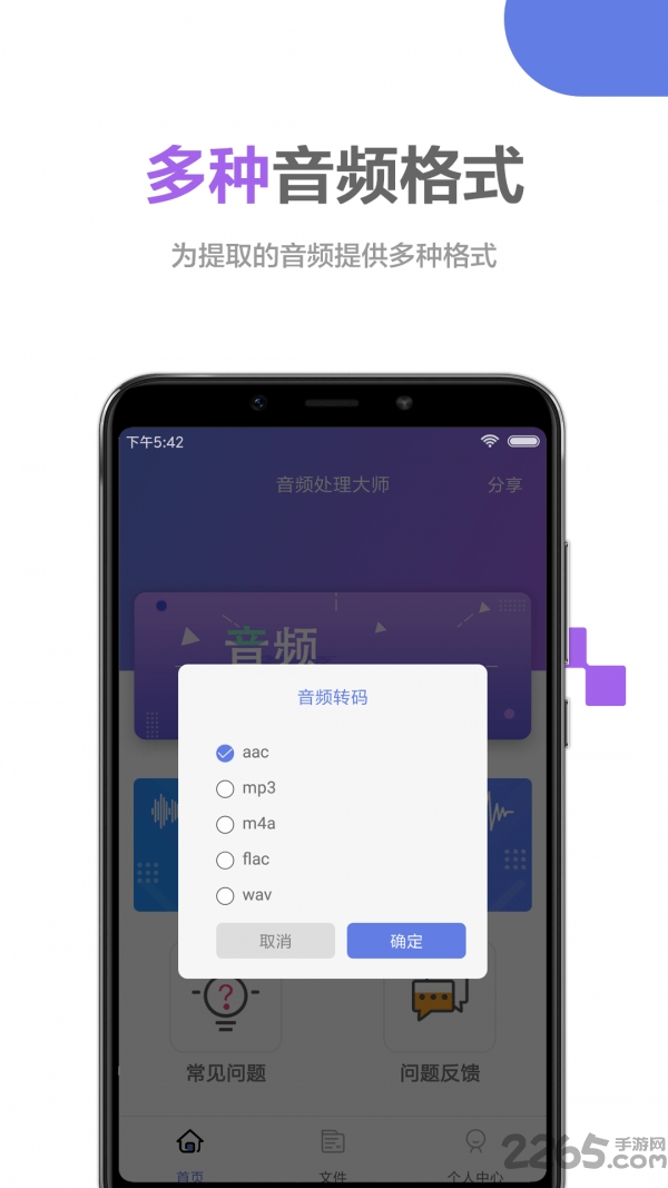 音频处理大师软件