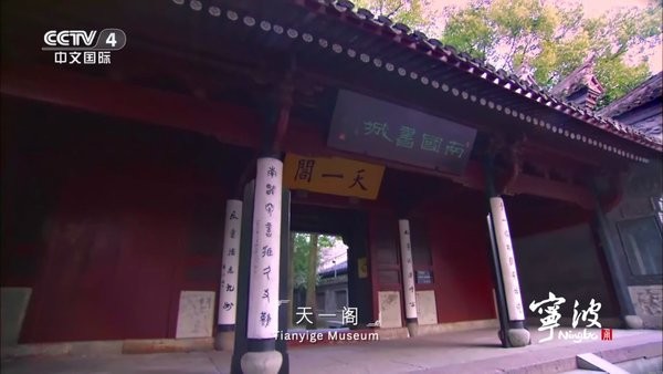 神仙电视tv版(神仙直播)