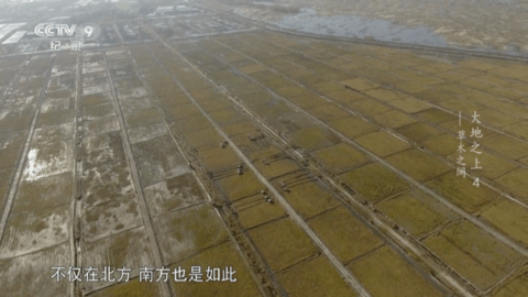 2025碧云tv电视直播软件