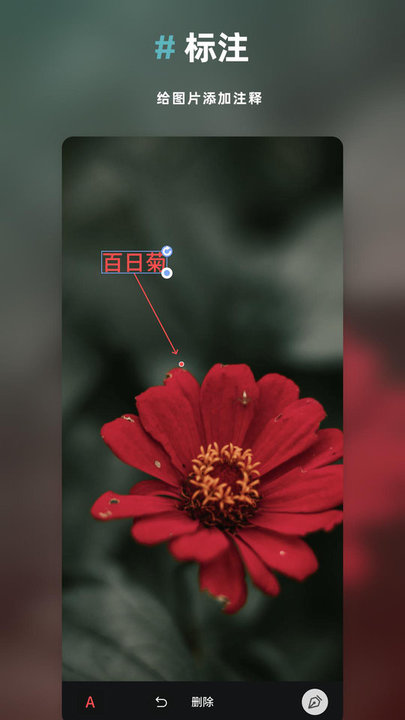 annotable图片处理app