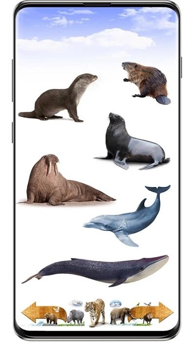 动物叫声模拟软件