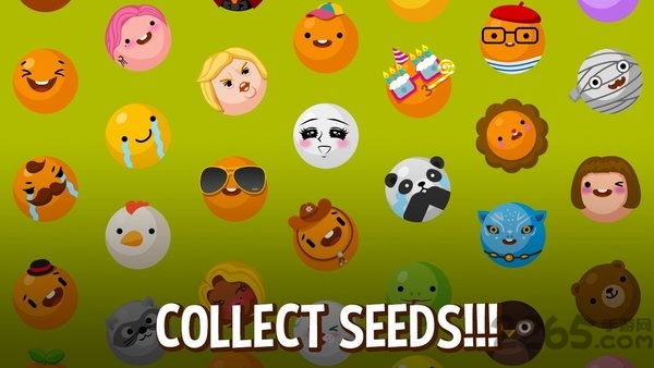 我的鳄梨呢绘制线条最新版