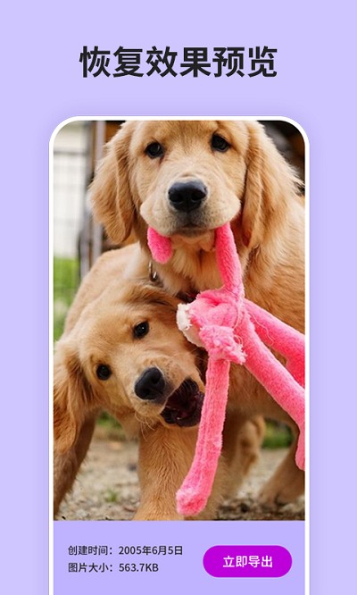 强力照片恢复精灵app最新版(又名为强力恢复精灵)