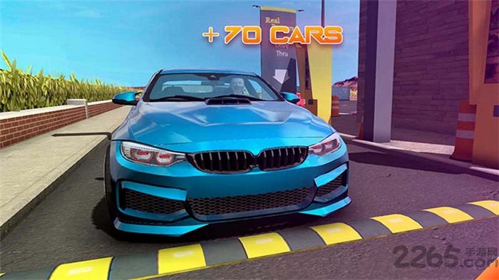 真实停车模拟器中文版