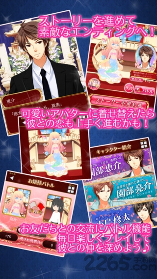 禁断之恋2政治婚姻的尽头汉化版