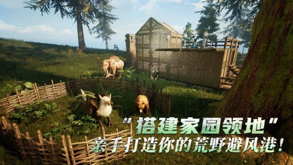 黑光生存进化手游