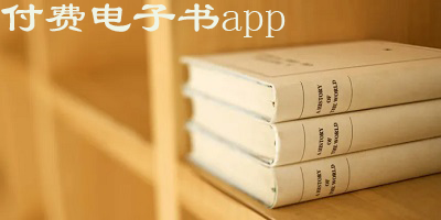 付费电子书