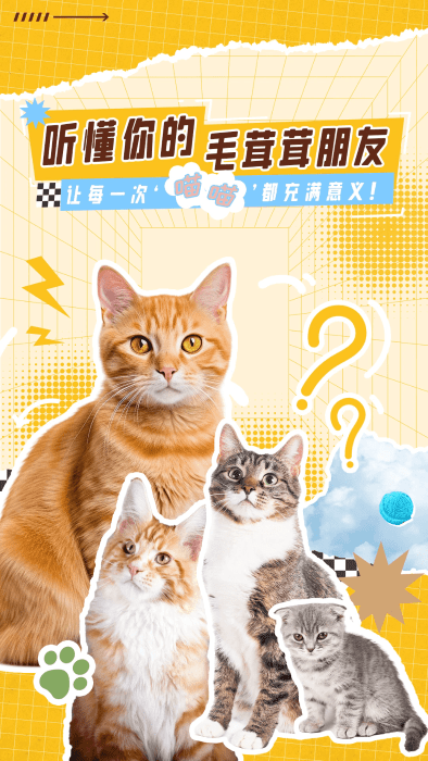 猫语翻译神器app