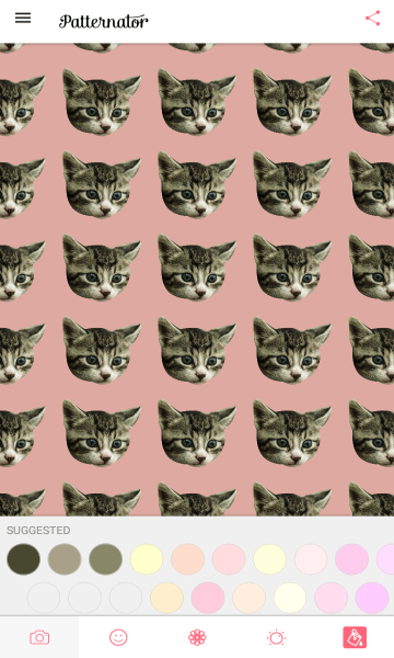 拍特内头app(patternator)