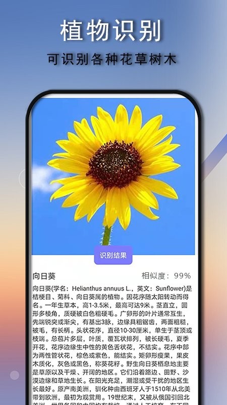 拍照识别王app