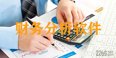 财务分析软件