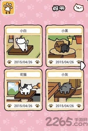 猫咪后院官方版