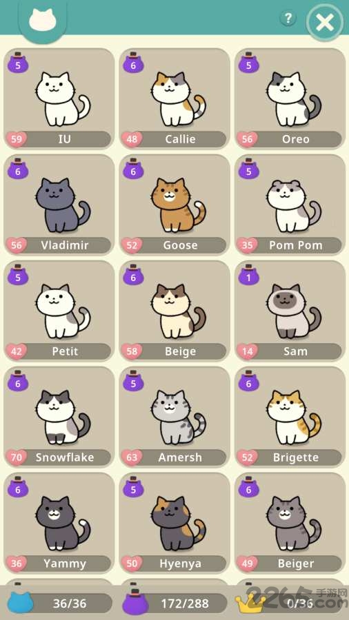 神秘猫咪字典游戏