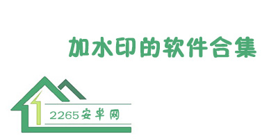 加水印的软件