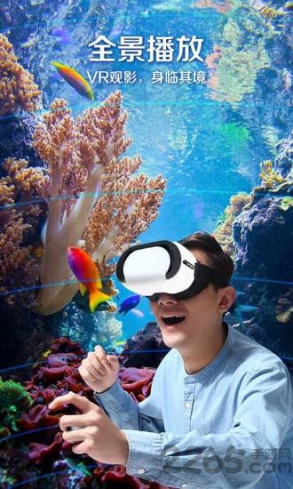 暴风影音2010手机版