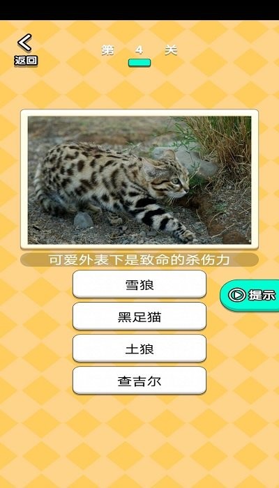 开心动物农场手机版