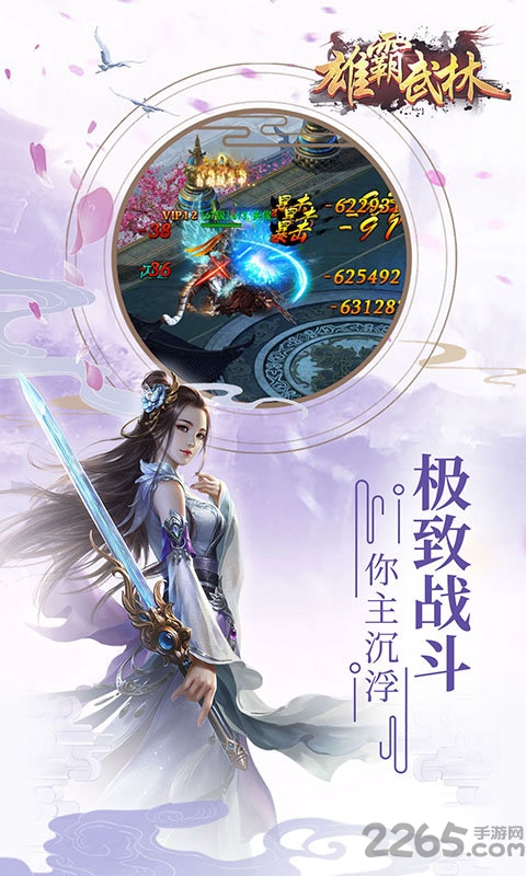 雄霸武林正式版