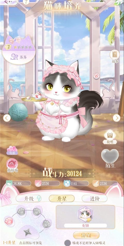甜甜的你猫咪养成玩法攻略 甜甜的你猫咪养成玩法攻略