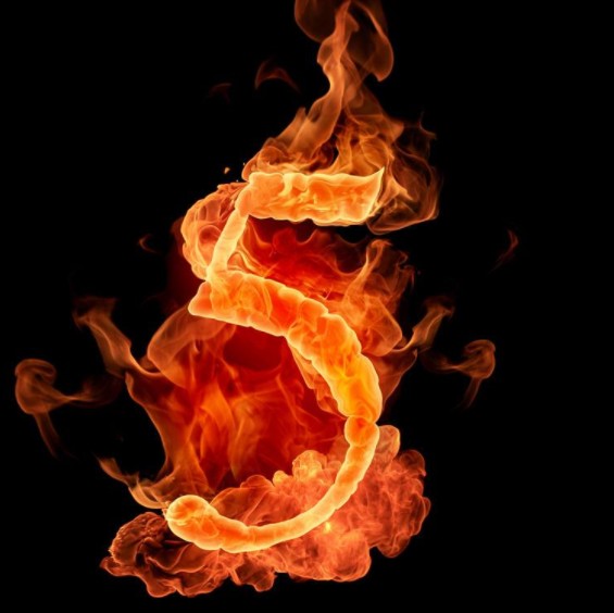 ae教程模板软件