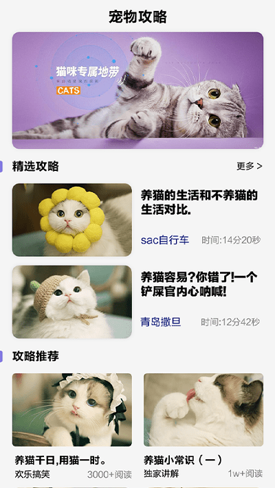 可爱喵喵壁纸大全app 可爱喵喵壁纸大全安卓版下载