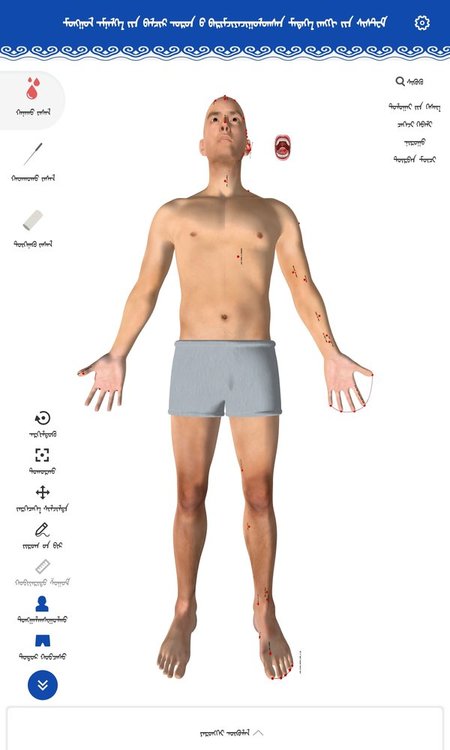 蒙医穴位标准化信息系统app