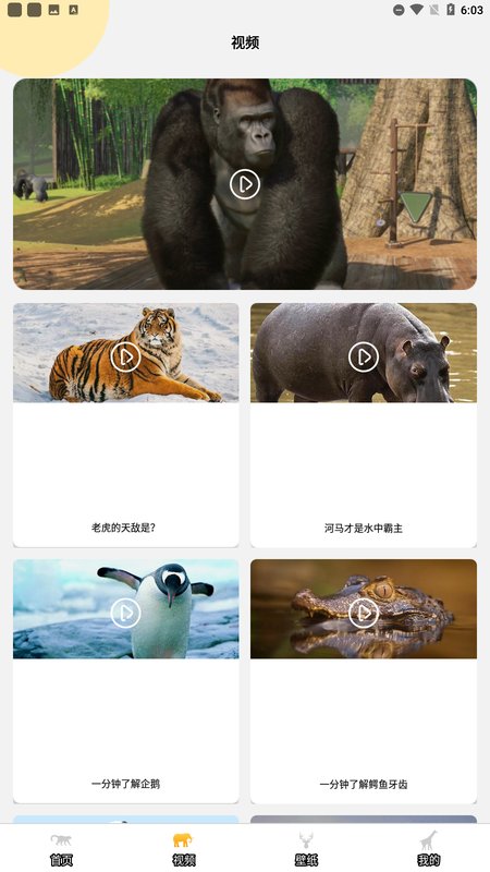 趣味动物园之星app