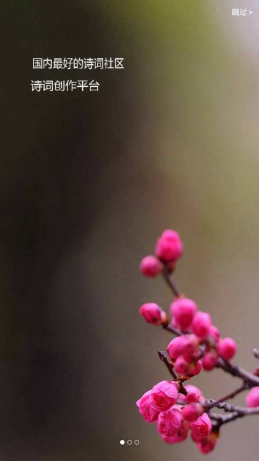 诗词园手机版