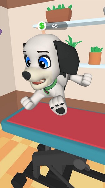 狗狗美容护理游戏