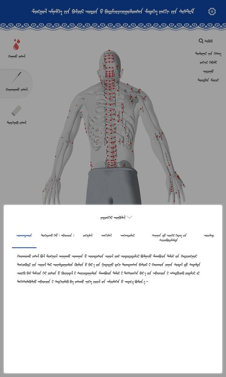 蒙医穴位标准化信息系统app