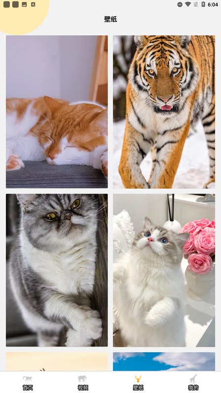 趣味动物园之星app