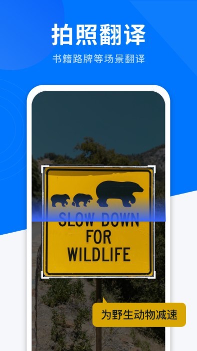 ai全能翻译软件