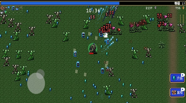 暗黑幸存者手机版