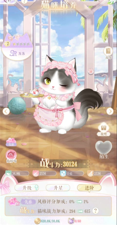甜甜的你猫咪养成玩法攻略 甜甜的你猫咪养成玩法攻略