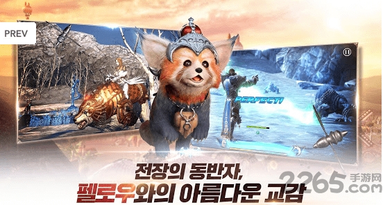 伊卡洛斯M国际服下载