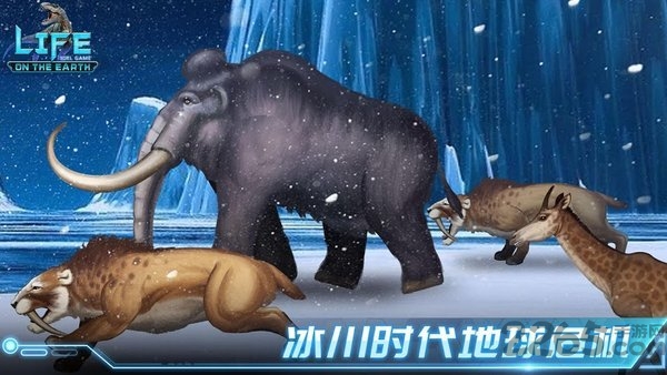 生命简史国际服