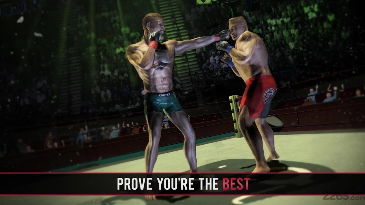 拳击与mma战斗机中文版