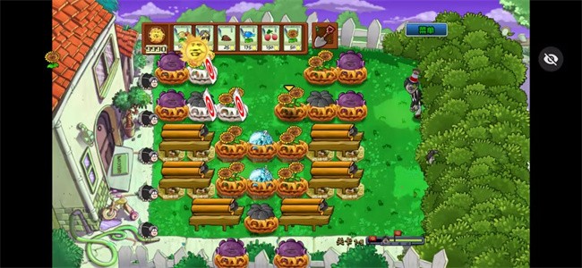 pvzikun大战黑子版 植物大战僵尸ikun大战小黑子版