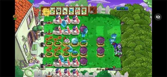 植物大战僵尸Ikun大战黑子版