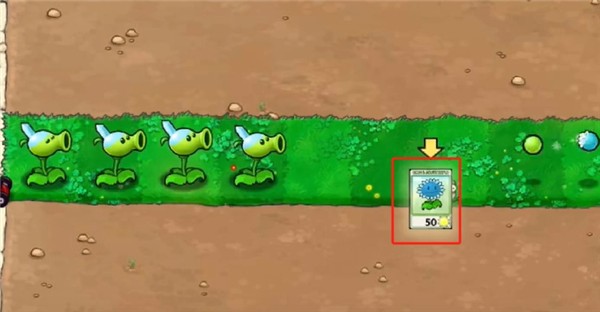 植物大战僵尸寒冰直装版 植物大战僵尸寒冰版本