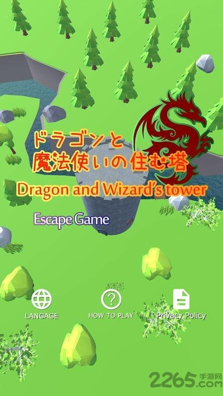 龙与巫师之塔中文版