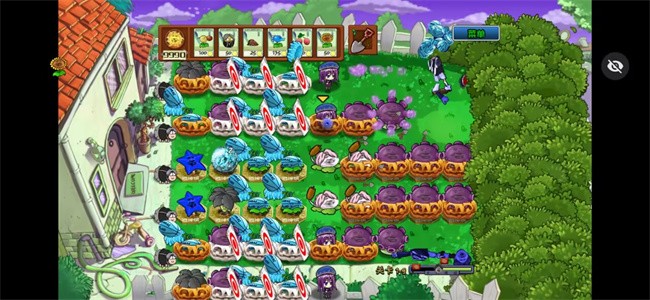 植物大战僵尸Ikun大战黑子版