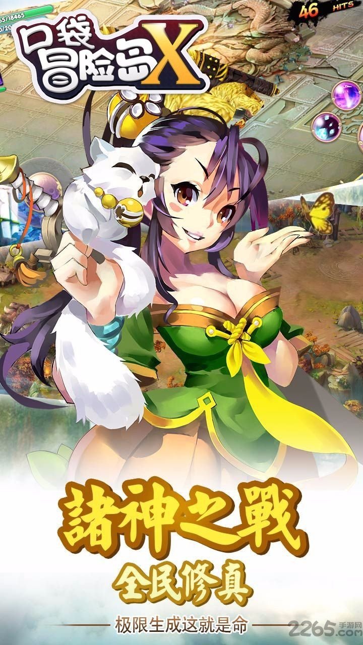 口袋冒险岛X手游