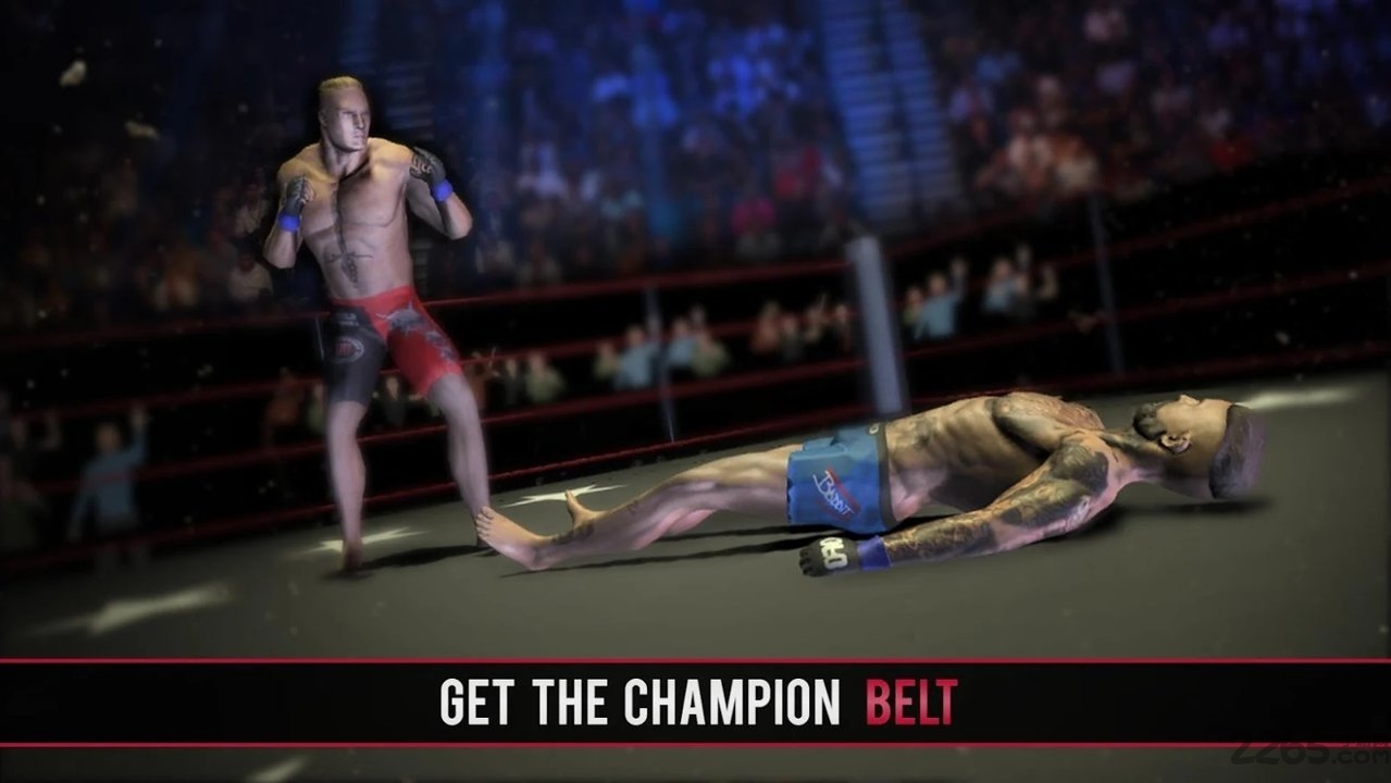 拳击与mma战斗机中文版