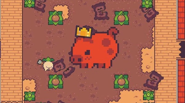 大头菜小子最新版